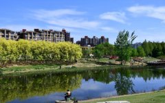 買相機(jī)鏡頭千萬(wàn)不要好高騖遠(yuǎn)，（有錢任性例外?。?/></a> </div>
              <div   id="98pwdof"   class="posts-gallery-content">
                <h2><a href="/xiangji/80065.html" target="_blank">買相機(jī)鏡頭千萬(wàn)不要好高騖遠(yuǎn)，（有錢任性例外?。?/a></h2>
                <div   id="usu2lyf"   class="posts-gallery-text">買相機(jī)鏡頭千萬(wàn)不要好高騖遠(yuǎn)，（有錢任性例外?。?買相機(jī)鏡頭不能只看參數(shù)，參數(shù)高和參數(shù)低價(jià)格差距非常大，為了自己的錢袋子，還是買適合自己的！ 就鏡頭而言，單就一個(gè)光圈...</div>
                <div   id="nzgs72j"   class="posts-default-info posts-gallery-info">
                  <ul>
                    <li id="qxumzqh"    class="ico-cat"><i class="iconfont icon-liebiao"></i> <a href="/xiangji/">相機(jī)鏡頭</a></li>
                    <li id="k27kweq"    class="ico-time"><i class="iconfont icon-iconfontshijian"></i> 2024-06-14</li>
                    <li id="wpi2lc2"    class="ico-eye"><i class="iconfont icon-yanjing1"></i> 125</li>
                    <li id="u3iamlc"    class="ico-eye"><i class="iconfont icon-pinglun"></i> 青松數(shù)碼</li>
                  </ul>
                </div>
              </div>
            </div>
          </div><div   id="2snz7bk"   class="items">
            <div   id="qig7tgn"   class="content-box">
              <div   id="3ikx7fi"   class="posts-gallery-img"> <a href=